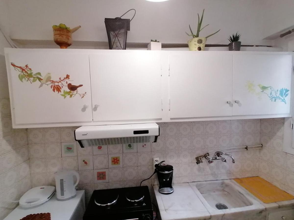 Pagrati Nest Daire Atina Dış mekan fotoğraf