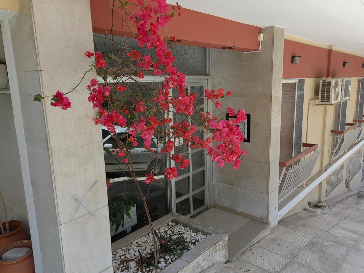 Pagrati Nest Daire Atina Dış mekan fotoğraf